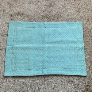 Restoration Hardware silver sage quilted decorative pillow sham.